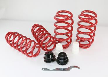 VW T6.1 Gewinde-Federn für Tieferlegung,  bis VA 1620 kg , VA ca 50mm-55mm / HA einstellbar , ca 35 -55mm