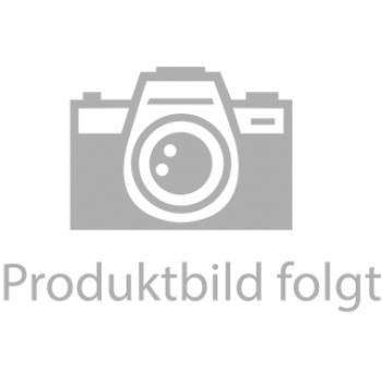 EISENMANN BMW F10 M5 (412 kW / 423 kW / 441 kW)[S63] Mittelschalldaempfer
